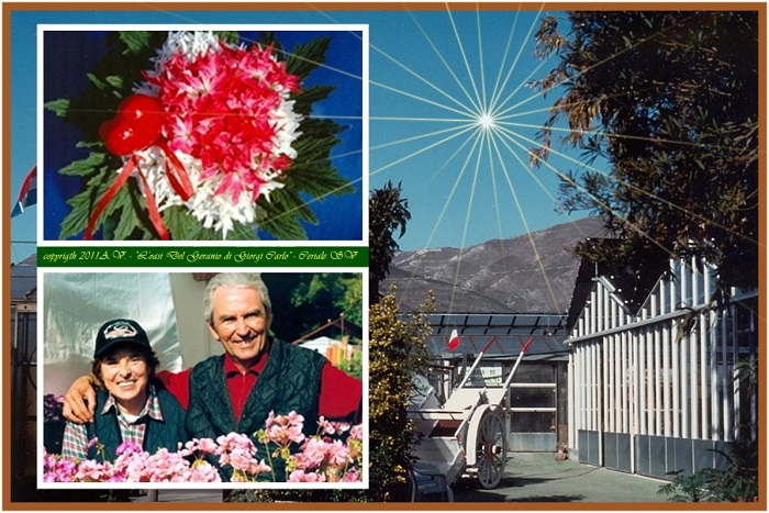 Azienda floricola L'oasi del geranio